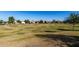 Expansive community green space offering a serene environment with mature trees and a well-maintained lawn at 1528 N Balboa --, Mesa, AZ 85205