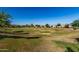 Expansive green space showcasing manicured lawns, mature trees, and serene views within the community at 1528 N Balboa --, Mesa, AZ 85205