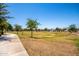 Expansive park with well-maintained lawn, mature trees, and a paved walkway for residents to enjoy in a Primary-planned community at 1528 N Balboa --, Mesa, AZ 85205