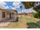 Lush backyard featuring a pool, mature trees, and covered patio, perfect for outdoor living and entertaining at 1672 W Butler Dr, Chandler, AZ 85224