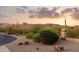 Serene desert landscaping featuring native trees and mountain views at 18121 E San Luis Dr, Gold Canyon, AZ 85118