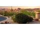 Meticulously maintained landscaping with native plants and mountain views at 18121 E San Luis Dr, Gold Canyon, AZ 85118