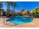 Community pool featuring palm trees and lounge chairs surrounding a crystal-clear swimming pool at 3131 E Legacy Dr # 2113, Phoenix, AZ 85042