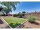 Backyard featuring a lush artificial lawn, mature tree, privacy wall, and storage shed at 3251 W Mercer Ln, Phoenix, AZ 85029