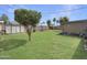 Spacious backyard featuring lush lawn, mature trees, storage shed, and covered patio area for outdoor enjoyment at 4122 W Las Palmaritas Dr, Phoenix, AZ 85051