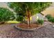Lush landscaping and mature trees surround this charming home with a rock garden and manicured lawn at 4326 E Cloudburst Ct, Gilbert, AZ 85297