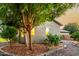 Lush landscaping and mature trees surround this charming home with a rock garden and manicured lawn at 4326 E Cloudburst Ct, Gilbert, AZ 85297