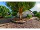 Lush landscaping and mature trees surround this charming home with a rock garden and manicured lawn at 4326 E Cloudburst Ct, Gilbert, AZ 85297