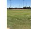 Empty Baseball Field on a sunny day at 4626 E Summerhaven Dr, Phoenix, AZ 85044