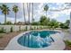 Outdoor pool area surrounded by mature palm trees and desert landscaping at 5937 E Corrine Dr, Scottsdale, AZ 85254