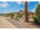 Inviting single-story home featuring desert landscaping, palm trees, and a welcoming facade at 6420 W Beverly Ln, Glendale, AZ 85306