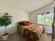 Bright bedroom featuring a comfortable bed, natural light, and a charming faux tree accent at 16242 S 12Th Pl, Phoenix, AZ 85048