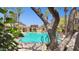 Community pool surrounded by lush greenery and palm trees at 17850 N 68Th St # 2138, Phoenix, AZ 85054