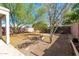 Backyard featuring desert landscaping, tall trees, and a fire pit at 3049 W Santa Cruz Ave, San Tan Valley, AZ 85144