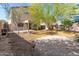 Backyard featuring desert landscaping, tall trees, and a patio at 3049 W Santa Cruz Ave, San Tan Valley, AZ 85144