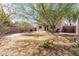 Backyard featuring desert landscaping, tall trees, a patio, and a block fence at 3049 W Santa Cruz Ave, San Tan Valley, AZ 85144