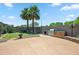 Spacious backyard patio includes a built-in grill and two palm trees for added shade and relaxation at 8417 W Northview Ave, Glendale, AZ 85305