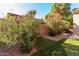 Backyard featuring low-maintenance landscaping, gravel, and desert plants at 865 E Del Rio St, Chandler, AZ 85225