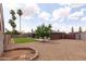 The property has a spacious backyard with mature palm trees at 929 W Knowles Cir, Mesa, AZ 85210