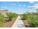 Scenic community walking path lined with desert landscaping, offering a peaceful retreat at 9737 W Agora Ln, Tolleson, AZ 85353