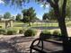 Scenic park view with a bench, swings, and lush green trees, ideal for relaxation at 10646 E Enid Ave, Mesa, AZ 85208