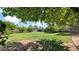 Large grassy backyard has mature trees and a beautiful lawn and a nice view at 11011 N 39Th St, Phoenix, AZ 85028