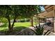 Expansive backyard featuring a lush lawn, mature trees, and a covered patio for outdoor entertaining at 11011 N 39Th St, Phoenix, AZ 85028