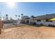 Large backyard with a covered patio, palm trees, and ample space for outdoor activities and entertaining at 1235 E Dover St, Mesa, AZ 85203