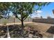 Large backyard with block wall and landscaping with room for entertaining at 12410 W Flores Dr, El Mirage, AZ 85335