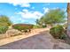 Beautiful backyard features mature trees, landscaping, and a decorative rock water feature at 15101 W Waterford Dr, Surprise, AZ 85374