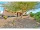 Spacious backyard with rock ground covering and a large mature tree for ample shade at 15101 W Waterford Dr, Surprise, AZ 85374