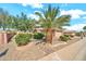 Well-maintained front yard with lush desert landscaping and mature palm trees at 15101 W Waterford Dr, Surprise, AZ 85374
