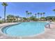 Large community swimming pool surrounded by tall palm trees and shaded lounge seating areas at 17140 W Running Deer Trl, Surprise, AZ 85387