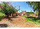 Landscaped backyard with a hot tub, storage shed, and a well-maintained lawn at 18805 N 49Th Dr, Glendale, AZ 85308