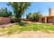 Backyard featuring mature trees and a well-maintained grassy area at 18805 N 49Th Dr, Glendale, AZ 85308
