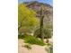 Lush desert landscaping showcasing a mature Saguaro cactus, vibrant plants, and native trees at 22020 N Church Rd, Scottsdale, AZ 85255