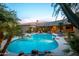 Backyard pool with palm trees and lush tropical landscaping, surrounded by lounge chairs at 22020 N Church Rd, Scottsdale, AZ 85255
