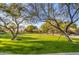 Lush community park featuring green grass, mature trees, and walking paths at 31107 N 72Nd Pl, Scottsdale, AZ 85266