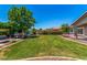 Lush backyard with a sprawling lawn, mature trees, grill, and outdoor seating, perfect for relaxing at 3619 E Thornton Ave, Gilbert, AZ 85297