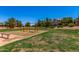 Red swing set in a grassy community playground, surrounded by trees and well maintained landscaping at 3619 E Thornton Ave, Gilbert, AZ 85297