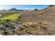 Aerial view of community dog park with separated areas for large and small dogs, mature trees and lush landscaping at 4215 W Hackamore Dr, Phoenix, AZ 85083