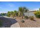 Beautifully landscaped backyard with desert flora, palm trees and rock ground cover at 4426 E Leroy St, Gilbert, AZ 85295