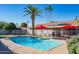 Inviting backyard swimming pool with a privacy fence, palm trees and lounge chairs at 501 W Jasper Dr, Chandler, AZ 85225