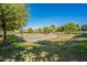 Community basketball court surrounded by trees and green grass at 1482 S Banning St, Gilbert, AZ 85296