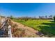 Expansive grassy field with mature trees, offering a serene and picturesque outdoor space at 1482 S Banning St, Gilbert, AZ 85296
