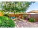 Cozy patio area with comfortable seating and shade from a mature tree at 2554 E Honeysuckle Pl, Chandler, AZ 85286