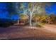 Backyard view with mature desert landscaping illuminated by subtle outdoor lighting and a privacy fence at 6069 E Ironwood Dr, Scottsdale, AZ 85266