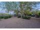 Expansive backyard featuring desert landscaping and mature trees creating a serene outdoor oasis at 6069 E Ironwood Dr, Scottsdale, AZ 85266