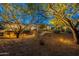 Picturesque backyard featuring mature trees, desert landscaping, and subtle outdoor lighting at 6069 E Ironwood Dr, Scottsdale, AZ 85266
