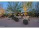 Home exterior with desert landscaping, ambient lighting and beautiful desert plants at 6069 E Ironwood Dr, Scottsdale, AZ 85266